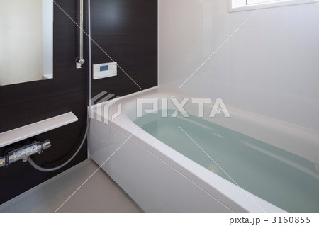 シックな浴室 3160855