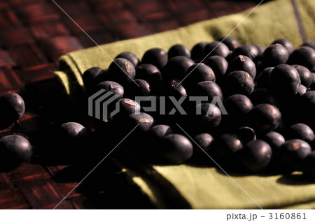 黒豆 3160861
