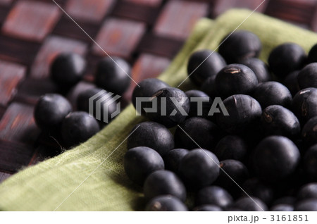 黒豆 黒豆 3161851