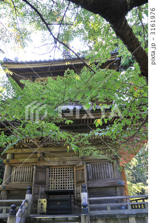 大龍寺 大龍寺 3161976
