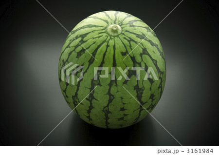 スイカ 3161984