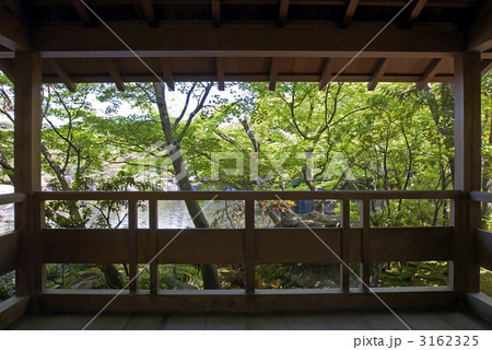好古園 御屋敷の庭 好古園 御屋敷の庭 3162325
