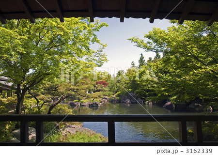 好古園 御屋敷の庭 好古園 御屋敷の庭 3162339