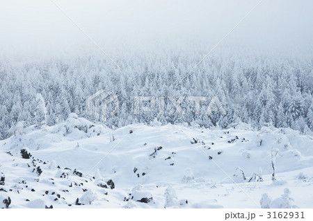 坪庭 坪庭 3162931