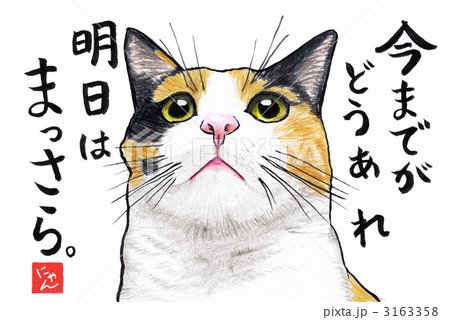 明日はまっさら 3163358