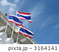 青空とタイ国旗 3164141