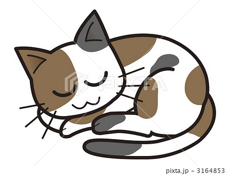 おやすみ三毛猫のイラスト素材