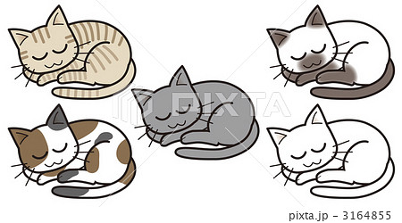 おやすみ縞 三毛 灰 シャム 白猫のイラスト素材 3164855 Pixta