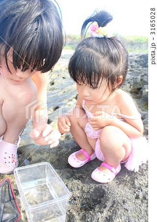 磯遊び 3165028