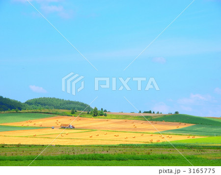 農作業風景 3165775