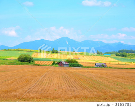 農作業風景 3165783