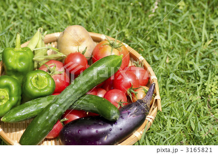 新鮮野菜 3165821