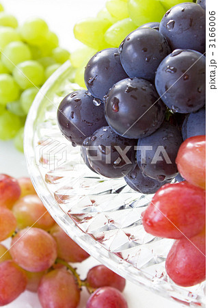 ぶどう 3166006