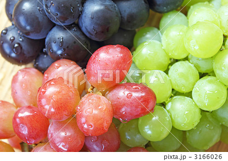 ぶどう ぶどう 3166026