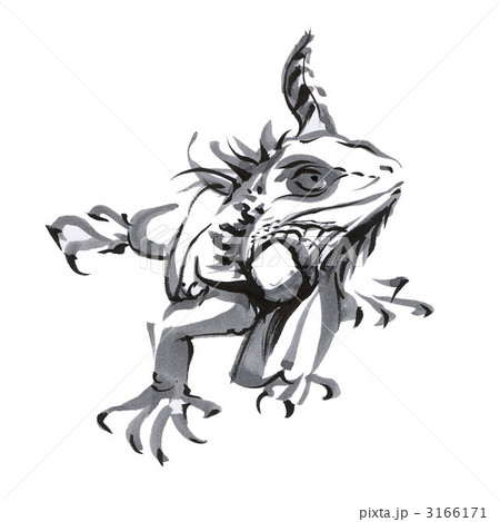 イグアナ イグアナ 3166171