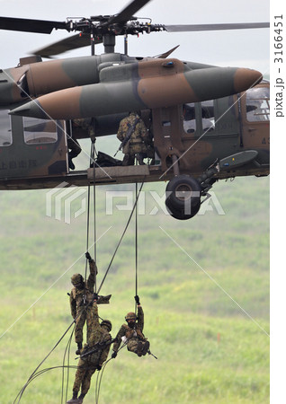 ブラックホーク 3166451