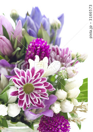 秋のお花のアレンジ 3166573