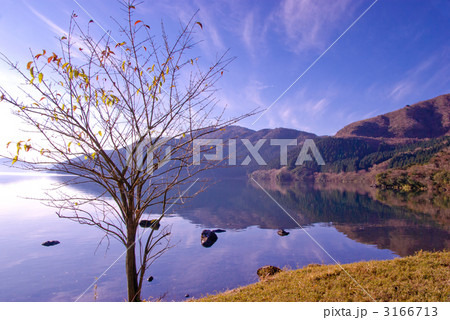 晩秋の芦ノ湖 3166713
