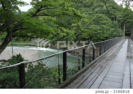 荒川と鷹の巣吊り橋 3166816