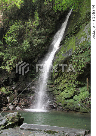 琵琶の滝 3166844