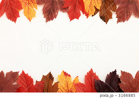 紅葉 紅葉 3166885
