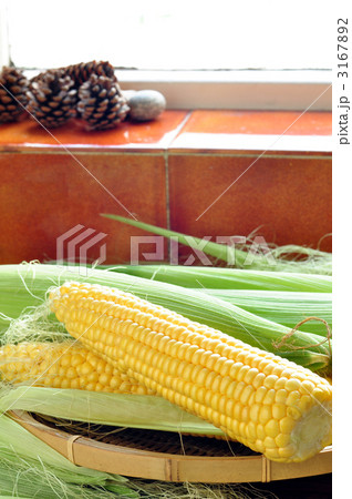 とうもろこし とうもろこし 3167892