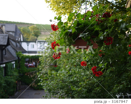 ホテルの中庭 3167947