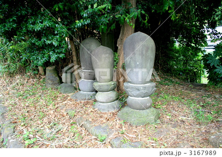 光触寺の傍にひっそりと眠る墓 光触寺の傍にひっそりと眠る墓 3167989
