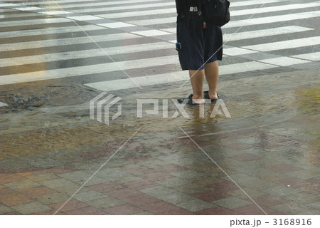 ゲリラ豪雨 3168916