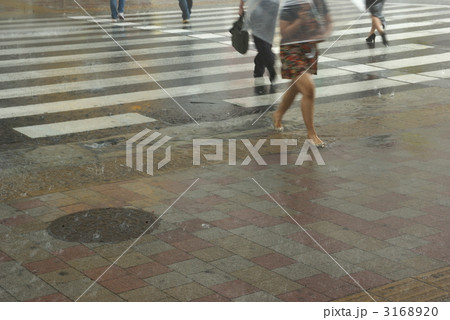 ゲリラ豪雨 ゲリラ豪雨 3168920