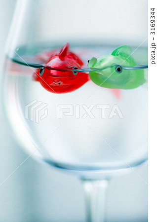 玩具の金魚 3169344
