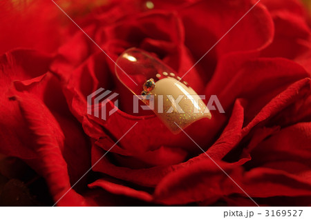 ネイルアート 3169527