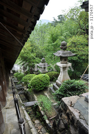 長谷寺 3170457