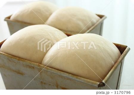 パン　食パン　発酵 3170796