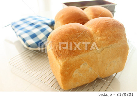 パン　食パン　焼き立て 3170801