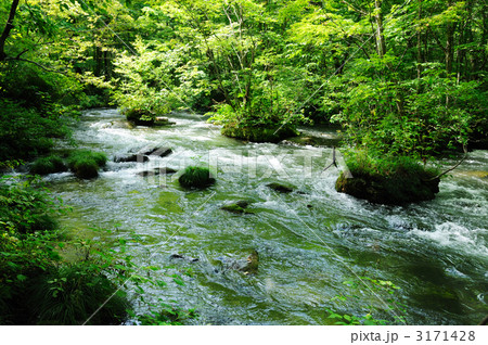 奥入瀬渓流 奥入瀬渓流 3171428