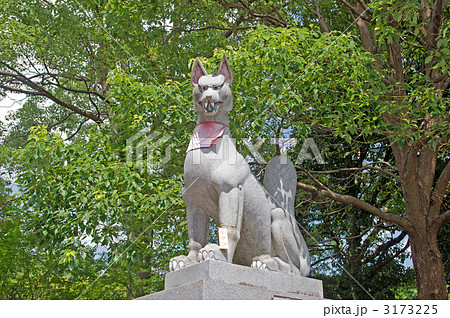 狛犬 3173225