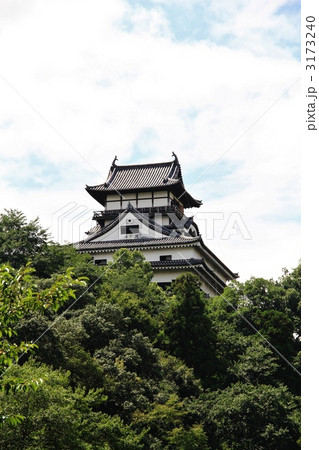 国宝　犬山城 3173240