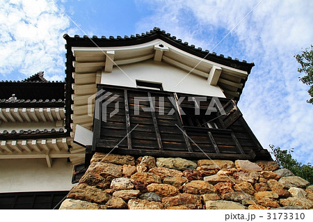 国宝　犬山城　付櫓 3173310