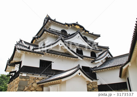 国宝　彦根城　天守閣 3173537