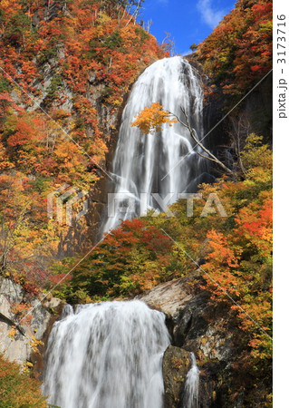 秋の安の滝 3173716