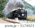 Ｄ５１　ＳＬみなかみ号 3174023