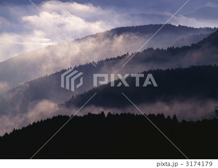 朝霧立つ 朝霧立つ 3174179