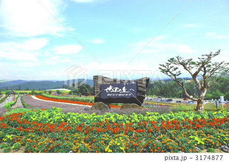 ぜるぶの丘 ぜるぶの丘 3174877