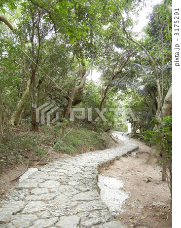 斎場御嶽の石畳道 3175291