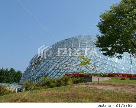 とっとり花回廊・フラワードーム 3175369