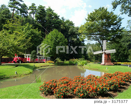 とっとり花回廊・風車とフラワートレイン とっとり花回廊・風車とフラワートレイン 3175377