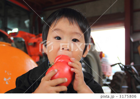 いただきまーす！ 3175806