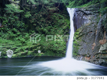新緑の滝 新緑の滝 3177041