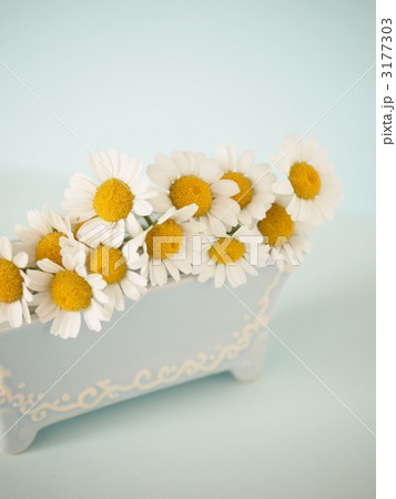 水色の夢 3177303